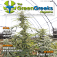 THE GREEN GREEKS Magazine - ΤΕΥΧΟΣ 23